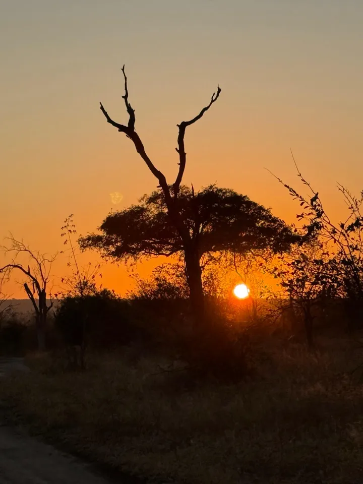 Zonsondergang tijdens de avondgamedrive