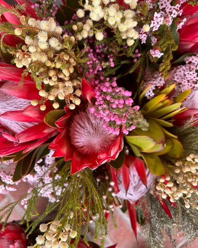 Protea's en fynbos, de bloemen van de Kaap