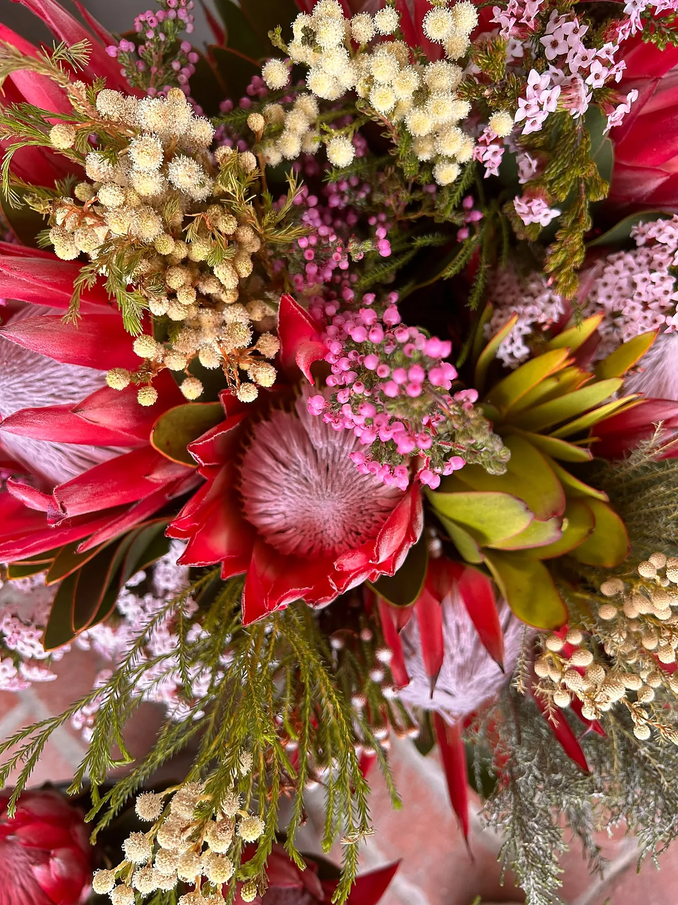 Protea's en fynbos, de bloemen van de Kaap