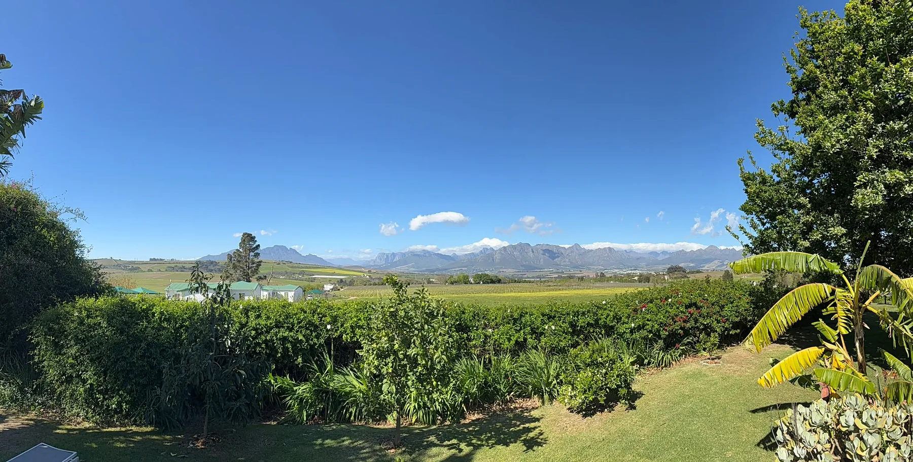 Vineyards and mountains around Stellenbosch