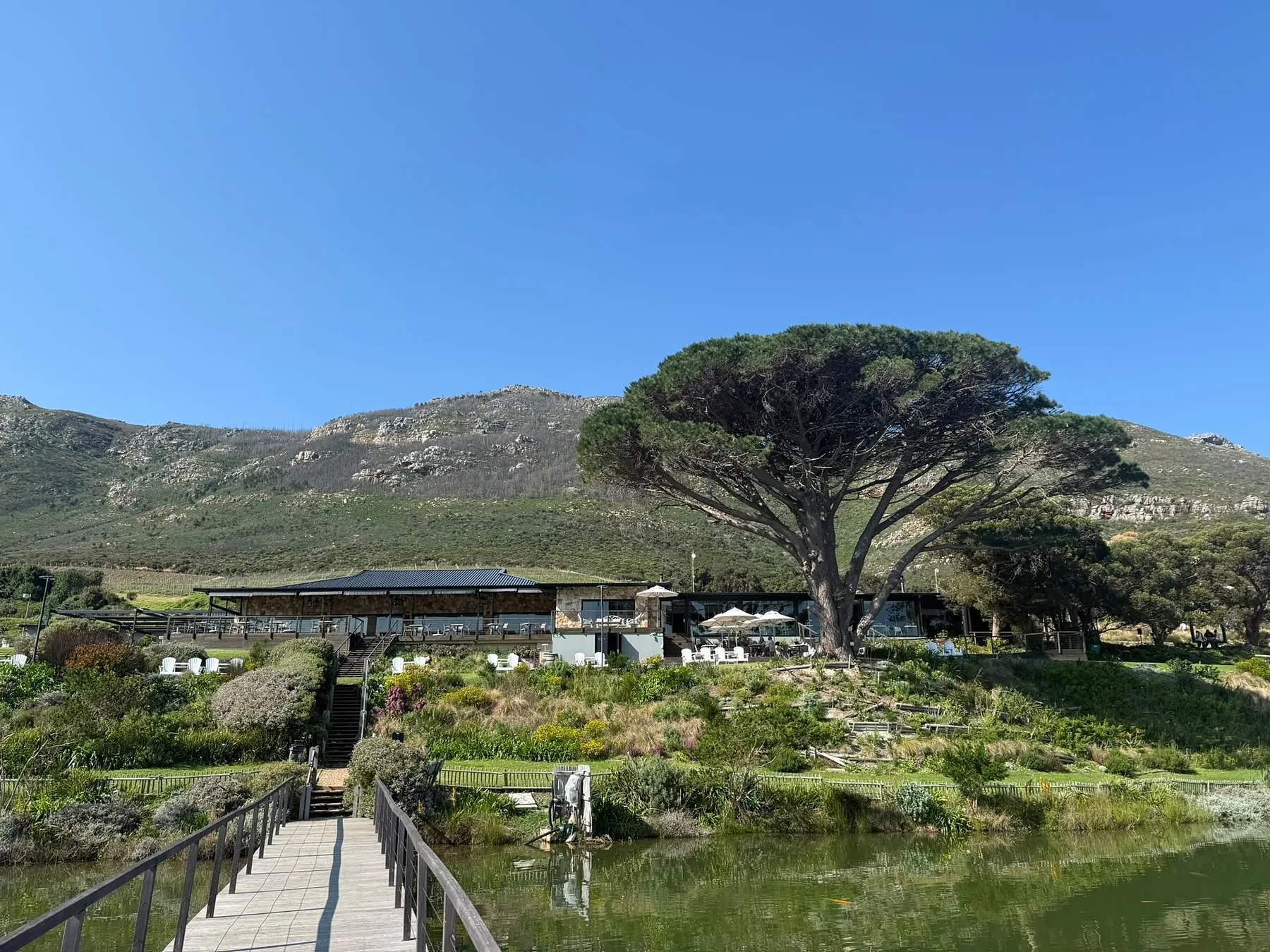 Lunch among the vineyards